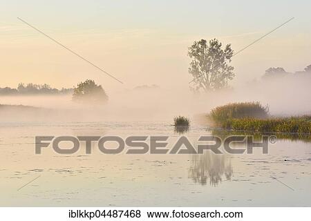 Stock Photo - Foggy atmosphere on Löbben, lake in the Middle Elbe Biosphere Reserve, Dessau, Saxony-Anhalt, Germany, Europe. Fotosearch