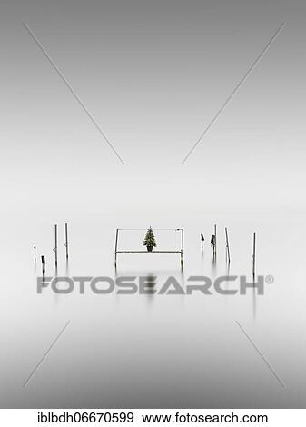 Footbridge with a fir tree in a pot at fog in the Kleiner Schwielochsee, Goyatz, Brandenburg, Germany, Europe View Large Photo Image Stock Photo - Footbridge with a fir tree in a pot at fog in the Kleiner Schwielochsee, Goyatz, Brandenburg, Germany, Europe. Fotosearch