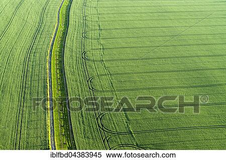 Footpath and the tracks of a tractor on a green field, Königstein, Saxony, Germany, Europe View Large Photo Image Stock Photography - Footpath and the tracks of a tractor on a green field, Königstein, Saxony, Germany, Europe. Fotosearch