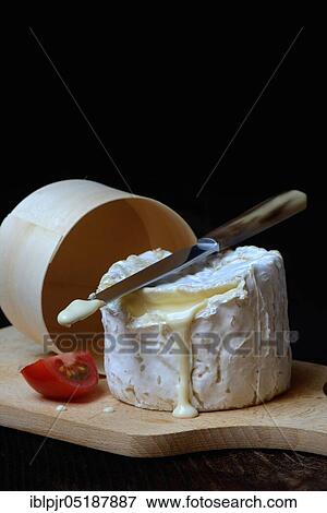 Stock Photo - French soft cheese, Chaource variety. Fotosearch