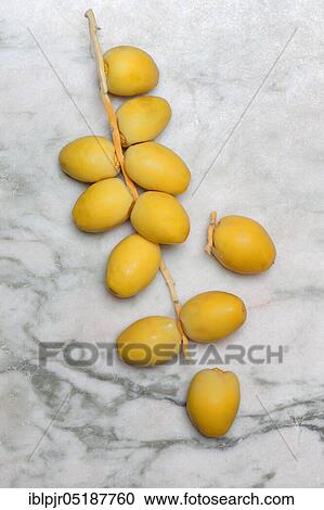 Fresh dates, Bahri date, Origin Namibia View Large Photo Image Stock Image - Fresh dates, Bahri date, Origin Namibia. Fotosearch