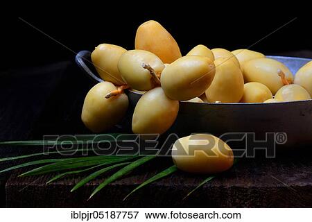 Fresh dates, Bahri date, Origin Namibia View Large Photo Image Stock Photo - Fresh dates, Bahri date, Origin Namibia. Fotosearch