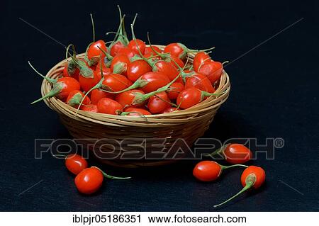 Stock Image - Fresh goji berries (Lycium barbarum) in cups. Fotosearch