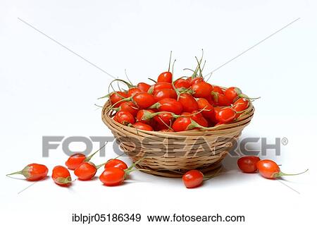 Fresh goji berries (Lycium barbarum) in cups View Large Photo Image Stock Photo - Fresh goji berries (Lycium barbarum) in cups. Fotosearch