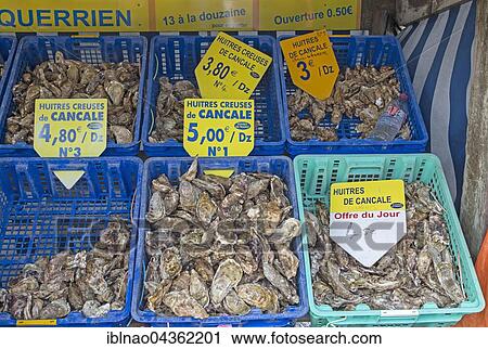 Fresh oysters for sale, Cancale, Brittany, France, Europe View Large Photo Image Stock Image - Fresh oysters for sale, Cancale, Brittany, France, Europe. Fotosearch