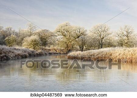 Frozen lake in the Elbe floodplain, trees with hoarfrost, Middle Elbe Biosphere Reserve, Saxony-Anhalt, Germany, Europe View Large Photo Image Stock Photo - Frozen lake in the Elbe floodplain, trees with hoarfrost, Middle Elbe Biosphere Reserve, Saxony-Anhalt, Germany, Europe. Fotosearch