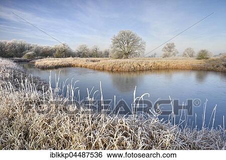 Frozen lake in the Elbe floodplain, landscape with hoarfrost, Middle Elbe Biosphere Reserve, Saxony-Anhalt, Germany, Europe View Large Photo Image Stock Photograph - Frozen lake in the Elbe floodplain, landscape with hoarfrost, Middle Elbe Biosphere Reserve, Saxony-Anhalt, Germany, Europe. Fotosearch