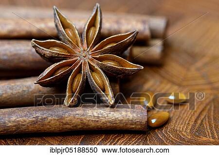 Fruit of star anise and cinnamon sticks, Illicium verum, cinnamon, Cinnamomum spec View Large Photo Image Stock Image - Fruit of star anise and cinnamon sticks, Illicium verum, cinnamon, Cinnamomum spec. Fotosearch