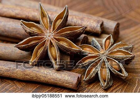 Fruit of star anise and cinnamon sticks, Illicium verum, cinnamon, Cinnamomum spec View Large Photo Image Stock Image - Fruit of star anise and cinnamon sticks, Illicium verum, cinnamon, Cinnamomum spec. Fotosearch