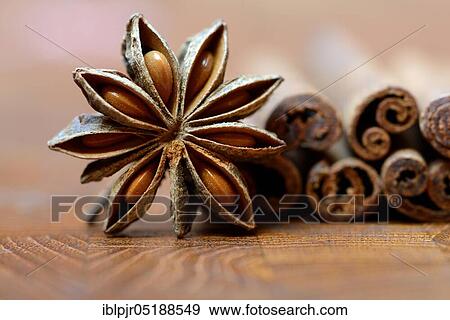 Fruit of star anise and cinnamon sticks, Illicium verum, cinnamon, Cinnamomum spec View Large Photo Image Stock Photo - Fruit of star anise and cinnamon sticks, Illicium verum, cinnamon, Cinnamomum spec. Fotosearch