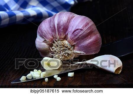 Stock Photography - Garlic bulb and cloves of garlic on knife, Allium sativum. Fotosearch
