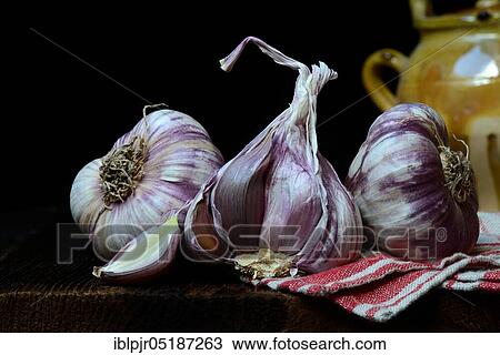 Garlictubers and toes View Large Photo Image Stock Image - Garlictubers and toes. Fotosearch