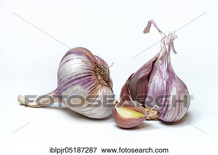 Garlictubers and toes View Large Photo Image Stock Photo - Garlictubers and toes. Fotosearch