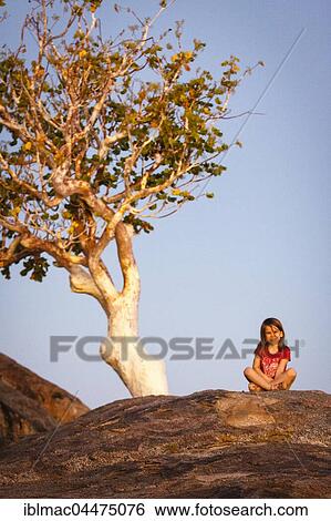 Girl sitting on a large rock by a tree, Namibia, Africa View Large Photo Image Stock Photograph - Girl sitting on a large rock by a tree, Namibia, Africa. Fotosearch