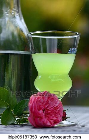 Glass of Absinthe with water carafe, Green Fairy View Large Photo Image Stock Image - Glass of Absinthe with water carafe, Green Fairy. Fotosearch