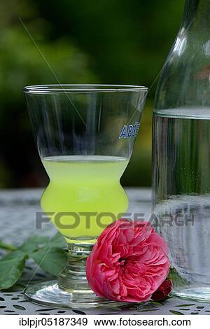 Stock Photo - Glass of Absinthe with water carafe, Green Fairy. Fotosearch