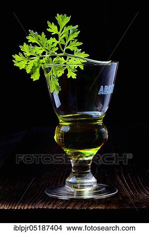Glass of absinthe with wormwood View Large Photo Image Picture - Glass of absinthe with wormwood. Fotosearch