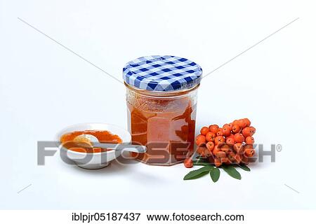 Stock Photo - Glass of rowanberry and apple jam with n ( Sorbus aucuparia) and apple, rowanberry jam. Fotosearch
