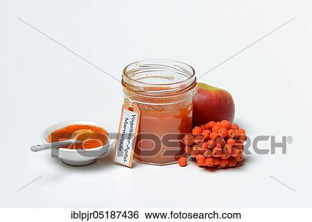 Stock Photograph - Glass of rowanberry and apple jam with n ( Sorbus aucuparia) and apple, rowanberry jam. Fotosearch