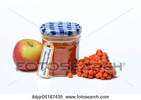 Glass of rowanberry and apple jam with n ( Sorbus aucuparia) and apple, rowanberry jam View Large Photo Image Stock Photography - Glass of rowanberry and apple jam with n ( Sorbus aucuparia) and apple, rowanberry jam. Fotosearch