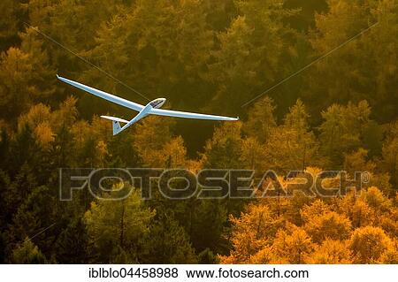 Stock Photo - Glider, two-seater, Duo Discus D-5443 over autumn forest, near Arnsberg, Ruhr district, North Rhine-Westphalia, Germany, Europe. Fotosearch