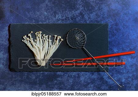Stock Photo - Golden needle mushroom-Mushrooms ( Flammulina velutipes). Fotosearch