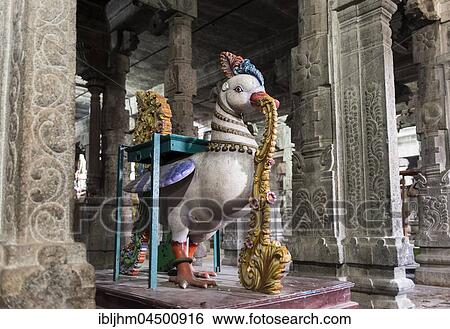 Goose, figure Ekambaresvara temple or Ekambareshvara Temple, Kanchipuram, Tamil Nadu, India, Asia View Large Photo Image Stock Photograph - Goose, figure Ekambaresvara temple or Ekambareshvara Temple, Kanchipuram, Tamil Nadu, India, Asia. Fotosearch