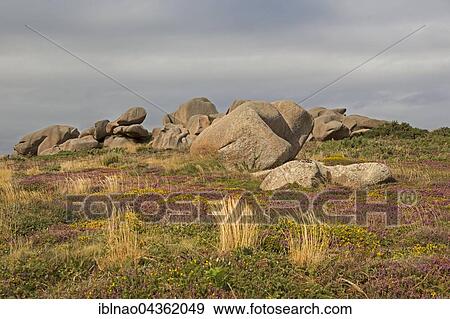 Granite rocks on the Pink Granite Coast, Ploumanac' h, Brittany, France, Europe View Large Photo Image Stock Photo - Granite rocks on the Pink Granite Coast, Ploumanac' h, Brittany, France, Europe. Fotosearch