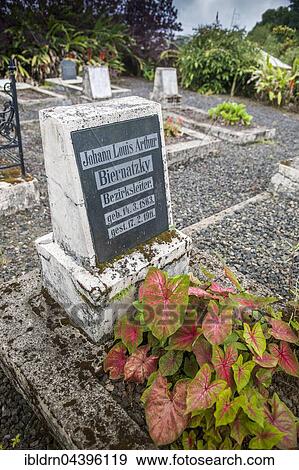 Grave with German inscription at the German cemetery, graves of former German colonial officials and residents, Buea, South-West Region, Cameroon, Africa View Large Photo Image Stock Photo - Grave with German inscription at the German cemetery, graves of former German colonial officials and residents, Buea, South-West Region, Cameroon, Africa. Fotosearch