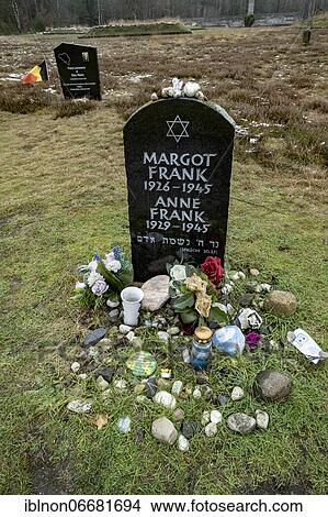 Picture - Gravestone, memorial stone for the sisters Margot and Anne Frank, memorial site, former concentration camp Bergen-Belsen, Lower Saxony, Germany, Europe. Fotosearch