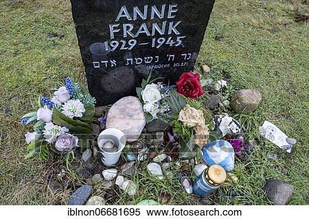 Gravestone, memorial stone for the sisters Margot and Anne Frank, memorial site, former concentration camp Bergen-Belsen, Lower Saxony, Germany, Europe View Large Photo Image Stock Photography - Gravestone, memorial stone for the sisters Margot and Anne Frank, memorial site, former concentration camp Bergen-Belsen, Lower Saxony, Germany, Europe. Fotosearch
