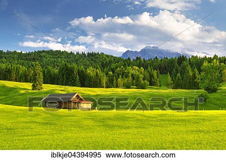 Stock Photography - green meadow with cottage, Karwendel Mountains, Garmisch-Partenkirchen, Bavaria, Upper Bavaria, Germany, Europe. Fotosearch