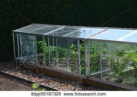 Greenhouse, Greenhouse View Large Photo Image Stock Photo - Greenhouse, Greenhouse. Fotosearch