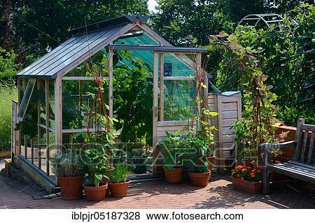 Greenhouse View Large Photo Image Stock Photo - Greenhouse. Fotosearch