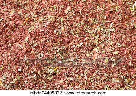 Ground sumac (Rhus coriaria), sweet and sour spice commonly used in Turkish and Middle-Eastern cooking View Large Photo Image Stock Image - Ground sumac (Rhus coriaria), sweet and sour spice commonly used in Turkish and Middle-Eastern cooking. Fotosearch