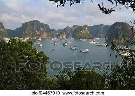 Halong Bay with boats, limestone cliffs, the Gulf of Tonkin, Halong, North Vietnam, Vietnam, Asia View Large Photo Image Stock Image - Halong Bay with boats, limestone cliffs, the Gulf of Tonkin, Halong, North Vietnam, Vietnam, Asia. Fotosearch