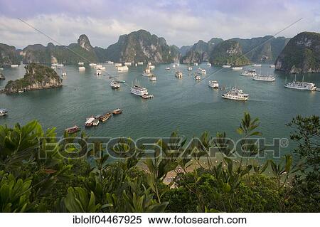 Halong Bay with boats, limestone cliffs, the Gulf of Tonkin, Halong, North Vietnam, Vietnam, Asia View Large Photo Image Stock Photography - Halong Bay with boats, limestone cliffs, the Gulf of Tonkin, Halong, North Vietnam, Vietnam, Asia. Fotosearch
