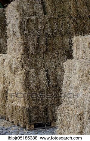 Stock Photo - Hay balloons, hay, hay harvest. Fotosearch