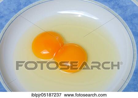 Hen's egg with double yolk View Large Photo Image Stock Photo - Hen's egg with double yolk. Fotosearch