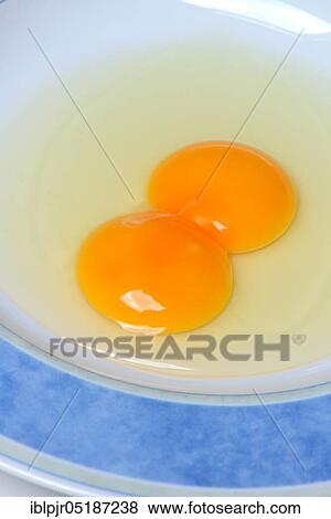 Hen's egg with double yolk View Large Photo Image Stock Photo - Hen's egg with double yolk. Fotosearch