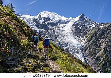 Hiker on hiking trail, mountain landscape, view on glacier Glacier de Taconnaz, hiking La Jonction, Chamonix, Haute-Savoie, France, Europe View Large Photo Image Picture - Hiker on hiking trail, mountain landscape, view on glacier Glacier de Taconnaz, hiking La Jonction, Chamonix, Haute-Savoie, France, Europe. Fotosearch