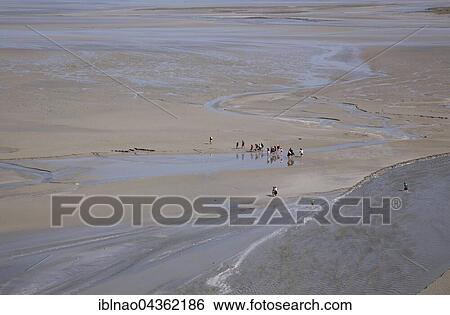 Hikers in mudflat at low tide in Mont Saint Michel, Normandy, France, Europe View Large Photo Image Stock Photograph - Hikers in mudflat at low tide in Mont Saint Michel, Normandy, France, Europe. Fotosearch
