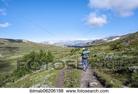 Hikers on a hiking trail in the mountains, Dovrefjell-Sunndalsfjella National Park, Norway, Europe View Large Photo Image Stock Photo - Hikers on a hiking trail in the mountains, Dovrefjell-Sunndalsfjella National Park, Norway, Europe. Fotosearch