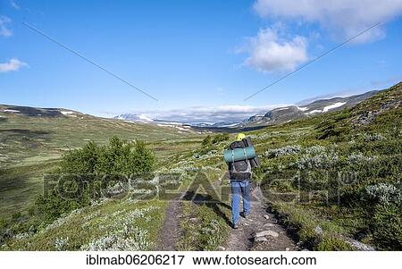 Stock Photo - Hikers on a hiking trail in the mountains, Dovrefjell-Sunndalsfjella National Park, Norway, Europe. Fotosearch