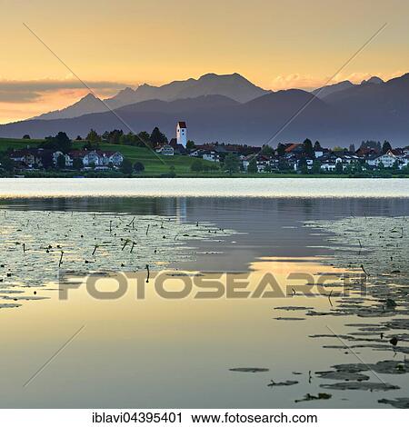 Hopfensee with village Hopfen am See, in front of the Allgäu Alps, sunrise, morning atmosphere, Allgäu, Bavaria, Germany, Europe View Large Photo Image Stock Image - Hopfensee with village Hopfen am See, in front of the Allgäu Alps, sunrise, morning atmosphere, Allgäu, Bavaria, Germany, Europe. Fotosearch