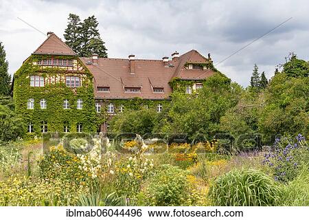 Stock Photograph - House overgrown with wine and blooming summer flowers, Botanical Garden, Berlin, Germany, Europe. Fotosearch