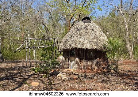 Stock Photograph - Hut with palm roof as a storage room, historic Mayan city Sayil, Yucatan State, Mexico, Central America. Fotosearch
