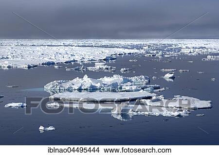 Ice floes, pack ice border, Arctic Ocean, Spitsbergen, Norway, Europe View Large Photo Image Picture - Ice floes, pack ice border, Arctic Ocean, Spitsbergen, Norway, Europe. Fotosearch