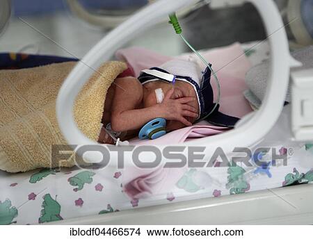 Incubator with newborn baby, Altona Children's Hospital, Hamburg, Germany, Europe View Large Photo Image Picture - Incubator with newborn baby, Altona Children's Hospital, Hamburg, Germany, Europe. Fotosearch
