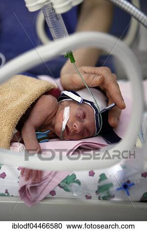 Incubator with newborn baby, Altona Children's Hospital, Hamburg, Germany, Europe View Large Photo Image Stock Image - Incubator with newborn baby, Altona Children's Hospital, Hamburg, Germany, Europe. Fotosearch